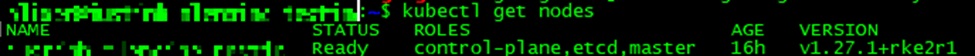 ../../_images/kubectl-get-nodes-sample-output.jpg